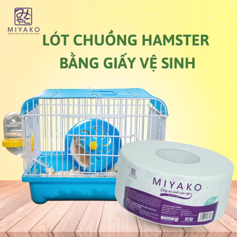có nên lót chuồng hamster bằng giấy vệ sinh.jpg