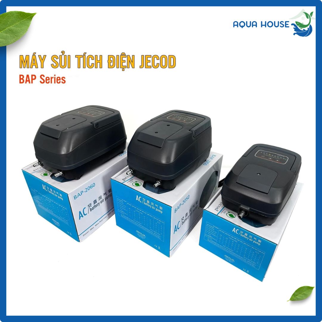 May-Sui-Oxy-Tich-Dien-Jecod-Bap-series.jpg