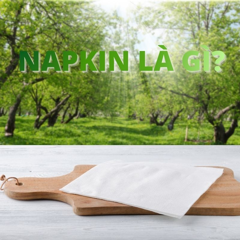napkin là gì.jpg