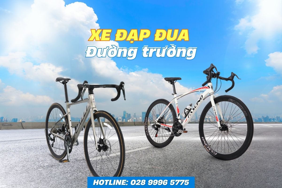 Xe đạp đua đường trường.jpg