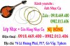 day mandolin chinh hang.jpg