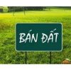 Ban-Dat.jpg