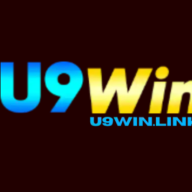 U9WINlink