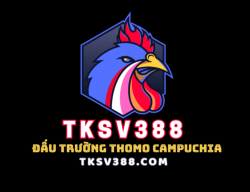 tksv388com