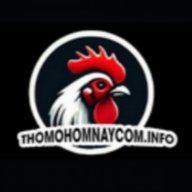 thomohomnaycominfo