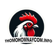thomohomnaycom