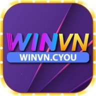 winvncyou