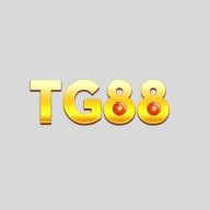 tg88nycom
