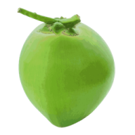 daga4kfullcpc