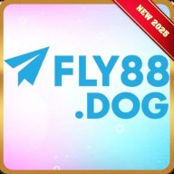 fly88dog