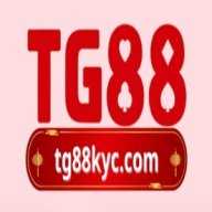 tg88kyccom