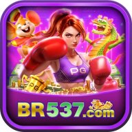 BR537