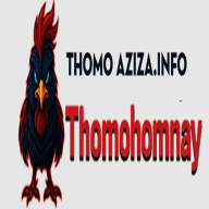thomohomnayaziz