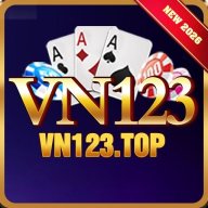 vn123top