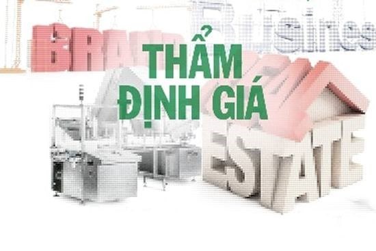 sai-pham-trong-tham-dinh-gia-tai-san-can-che-tai-du-manh-de-xu-ly-nghiem-1642577671.jpg