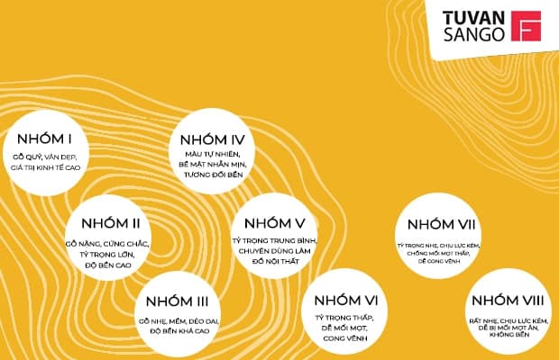 Gỗ được chia thành 8 nhóm theo tiêu chuẩn đo lường của quốc tế