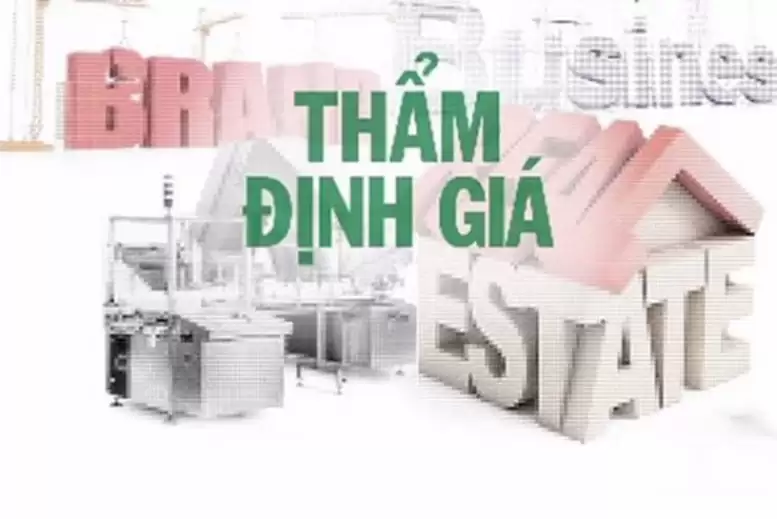 Đánh giá hoạt động doanh nghiệp thẩm định giá như thế nào?- Ảnh 1.