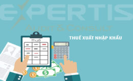 Khái quát về thuế xuất nhập khẩu và đối tượng chịu thuế