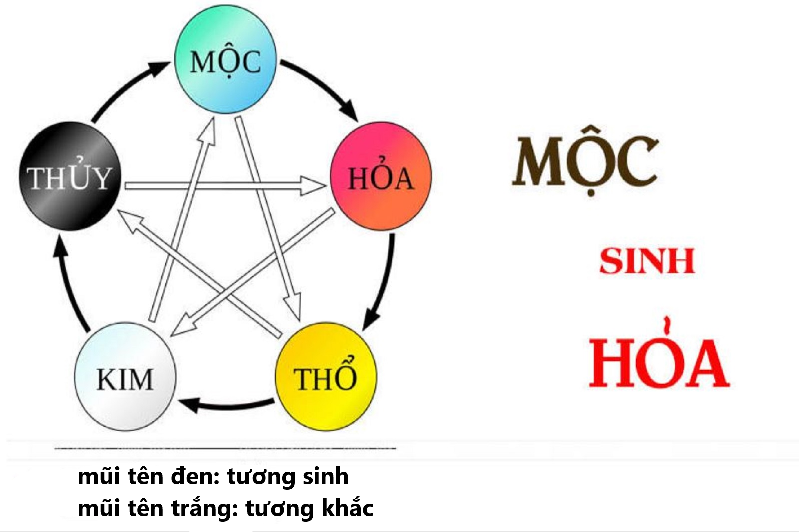 Mộc sinh Hỏa và các ứng dụng trong phong thủy nhà ở