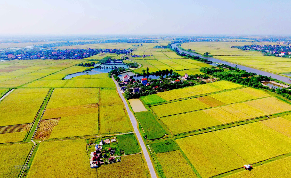 Thủ tục chuyển mục đích sử dụng đất sang đất thổ cư