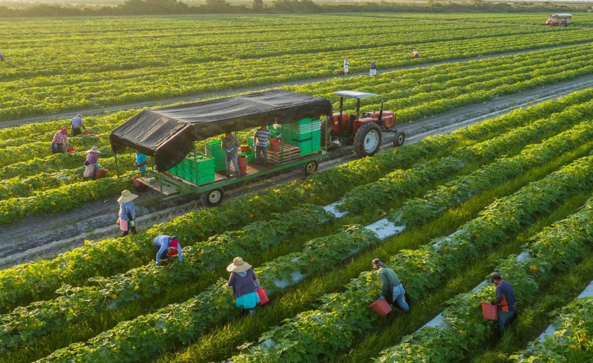 Trang trại? Cách tiếp cận thẩm định giá trang trại